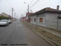 Imagine atasata: Muzicescu - 2015.11.08 - 52.jpg